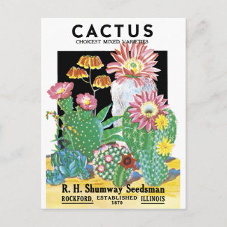 Postal Paquete Cactus Seed