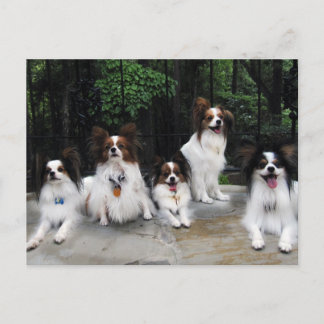 Postal Paquete de Papillones de Hershey Kiss Hero Kennel