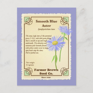 Postal Paquete de semillas de Aster Azul