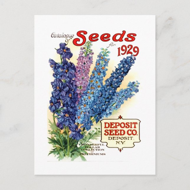 Postal Paquete de Semillas de Delphiniums Variados (Anverso)