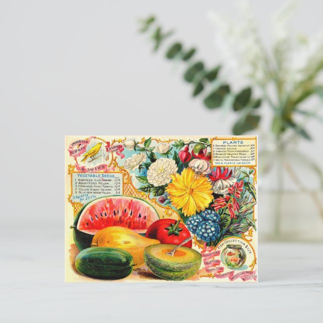 Postal Paquete de semillas de época. (Anverso de pie)