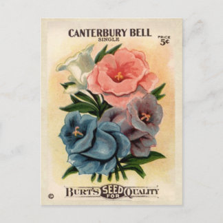 Postal Paquete de semillas de flores de vintage Canterbur