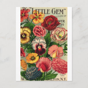 Postal paquete de semillas de lil gem