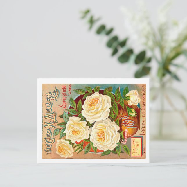 Postal Paquete De Semillas Vintage. (Anverso de pie)