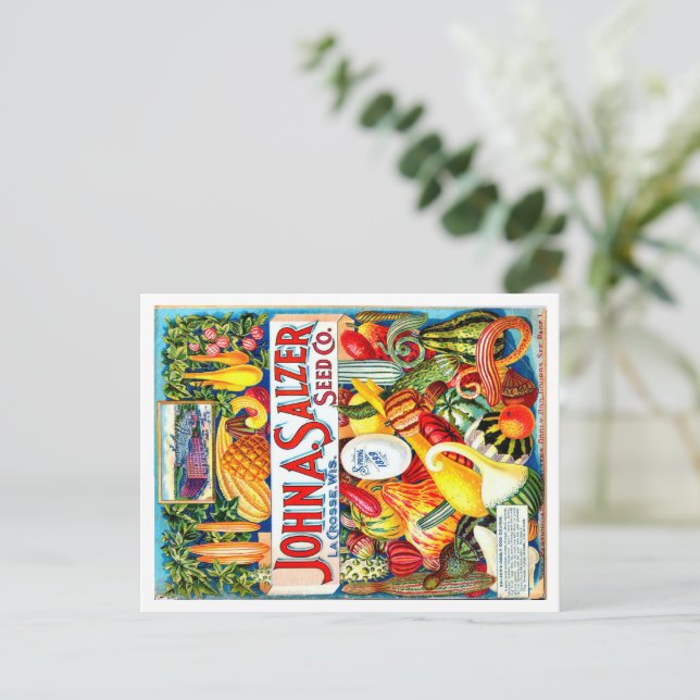 Postal Paquete De Semillas Vintage. (Anverso de pie)