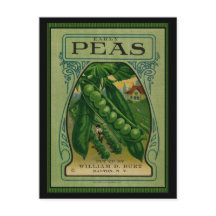 Paquete de Semillas Vintage Tempranas
