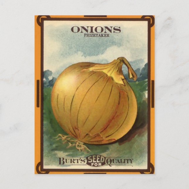 Postal Paquete Semilla de cebolla de Viñage Burt (Anverso)