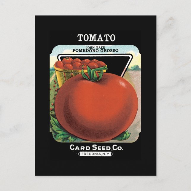 Postal Paquete Semilla de tomate (Anverso)