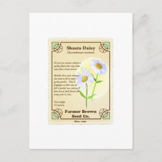 Postal Paquete Shasta Daisy Seed