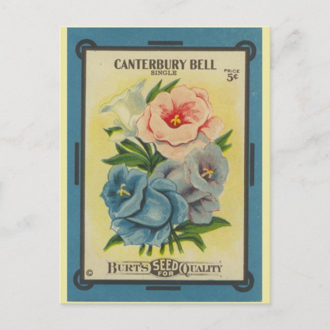 Postal Paquetes antiguos de semillas Canterbury Bells (Anverso)