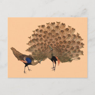 Postal Paquetes de paz asiáticos de época personalizable