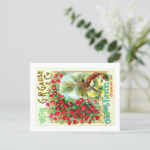 Postal Paquetes De Semillas.