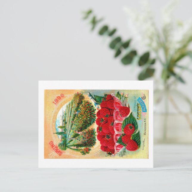 Postal Paquetes De Semillas. (Anverso de pie)