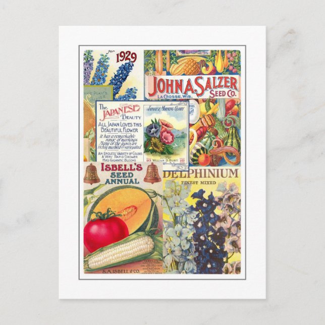 Postal Paquetes de semillas (Anverso)