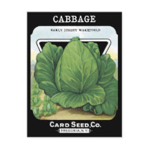 Paquetes de semillas de cosecha de basura verde le