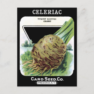 Postal Paquetes de Semillas Vegetales de Raíz Celeriac Ne