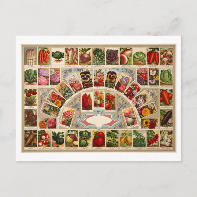 Postal Paquetes de Semillas Vintage (Anverso)