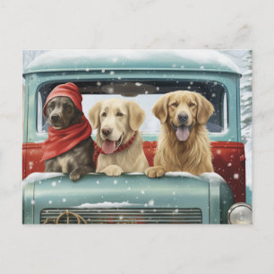 Postal Paquetes de vacaciones