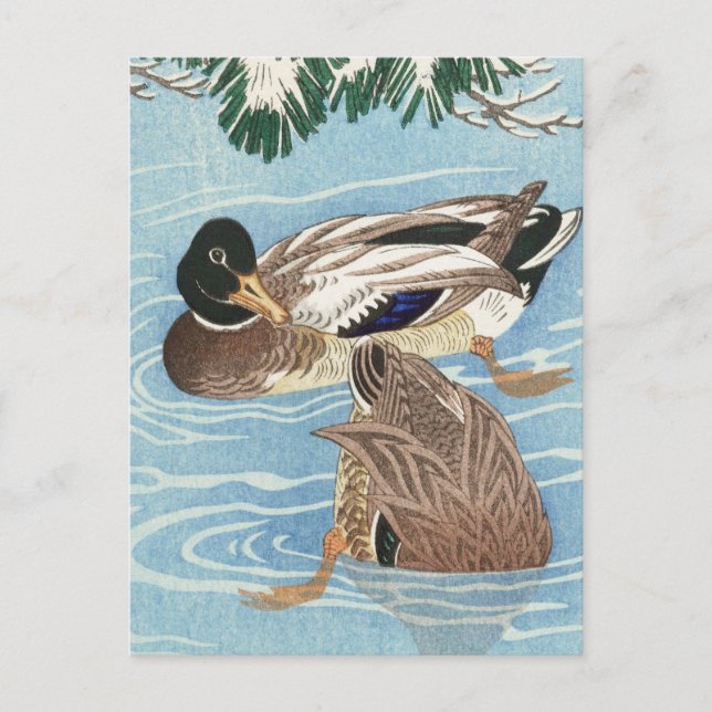 Postal Par de patos en el agua por Ohara Koson (Anverso)
