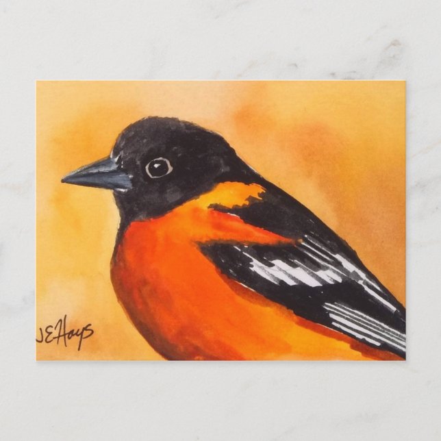 Postal para aves Baltimore Oriole (Anverso)