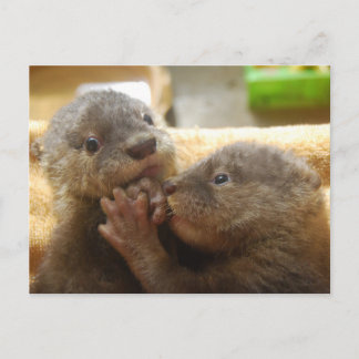Postal para bebes