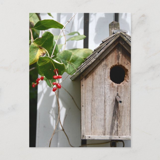 Postal Para Bob (Anverso)