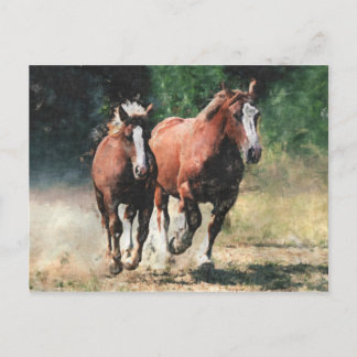 Postal para caballos de reclutamiento bretona