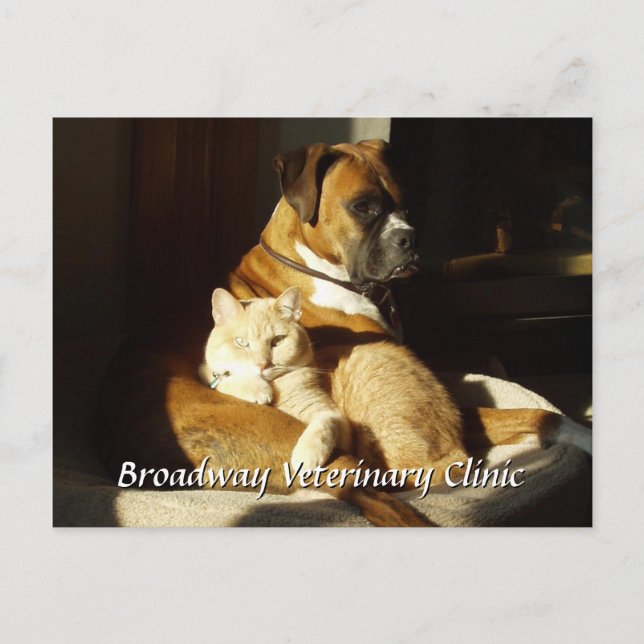 Postal para citas veterinarias para perros y gatos (Anverso)