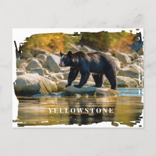 Postal para el oso negro de piedra amarilla
