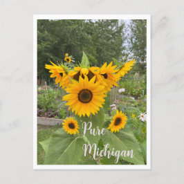 Postal para el paso del girasol de verano de Michi