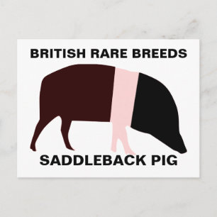 Postal para el Personalizable de cerdo a la espald