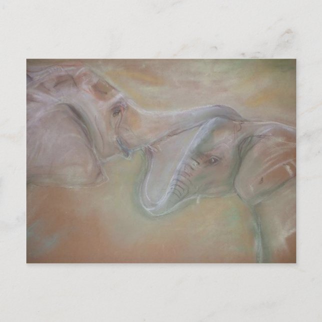 Postal para elefantes (Anverso)