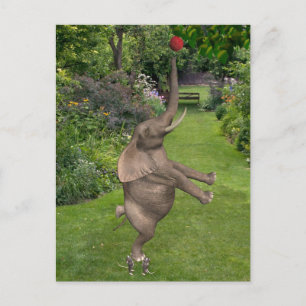 Postal Para eso están los amigos