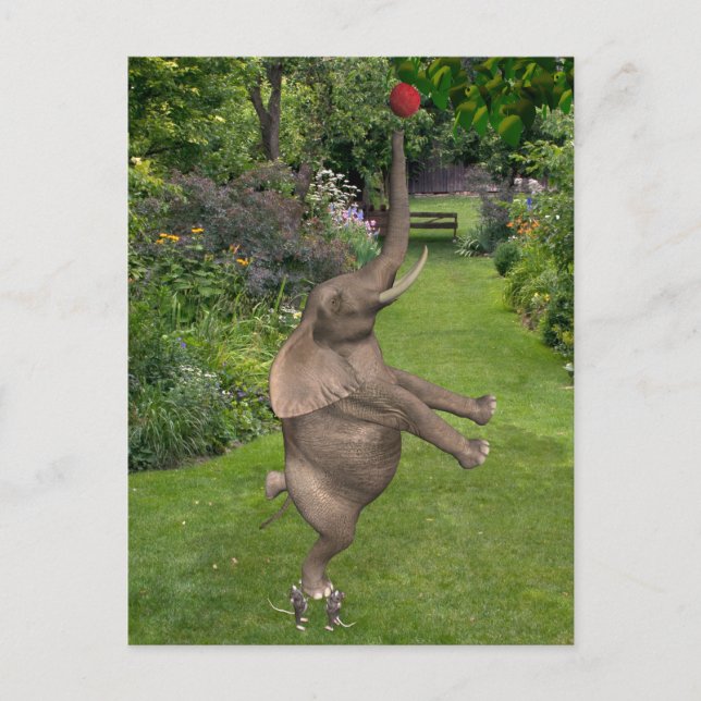 Postal Para eso están los amigos (Anverso)