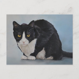 Postal para gato doméstico de pelo corto negro de