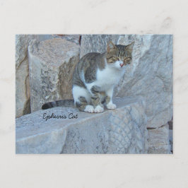 Postal para gato Ephesus Feral