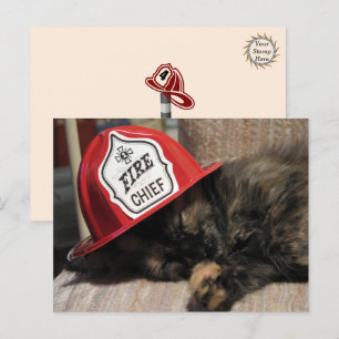 Postal para gato lindo - Jefe de bomberos