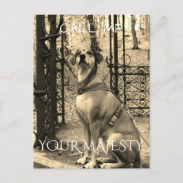 Postal para los amantes de los perros con texto y 