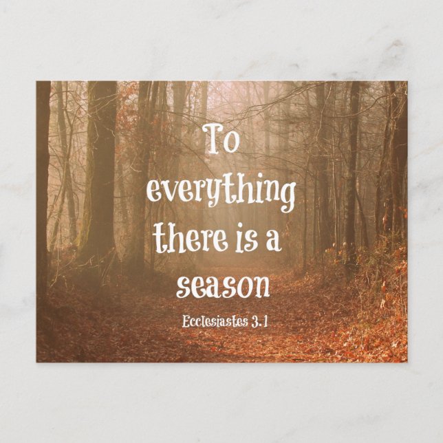 Postal Para todo hay una temporada Biblia Verse (Anverso)