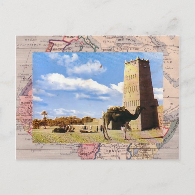 Postal Parada de camellos en el desierto (Anverso)