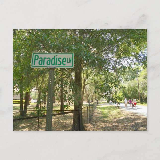 Postal Paradise Lane Florida (Anverso)