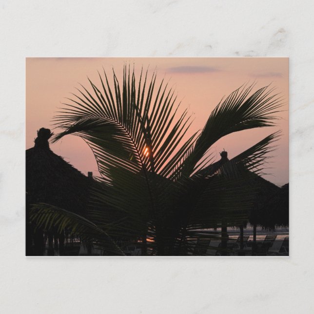 Postal Paradise Village - Puerto Vallarta, México (Anverso)