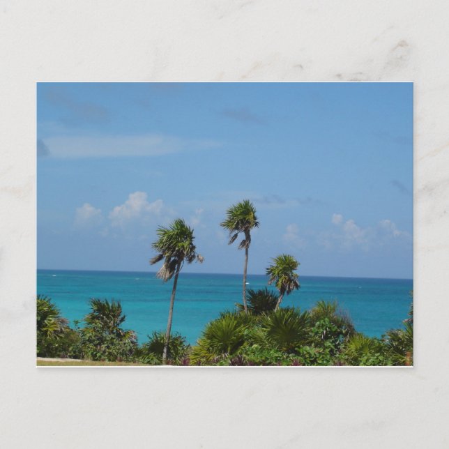 Postal paraíso (Anverso)