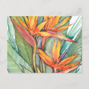 Postal Paraíso botánico tropical II