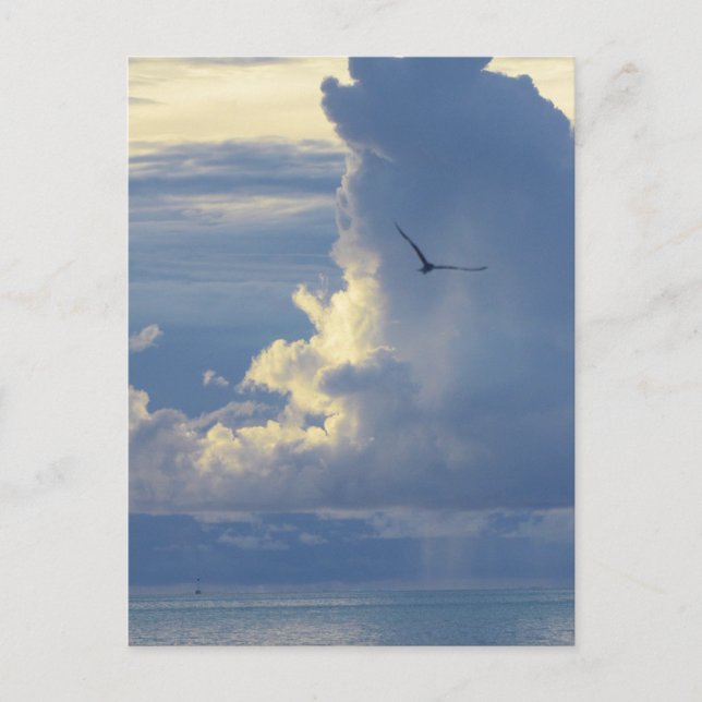 Postal Paraíso de Bora Bora, Sueños de Bungalow Sobreacuá (Anverso)