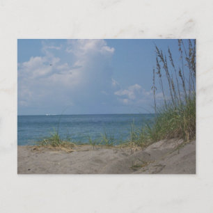 Postal paraíso de Florida