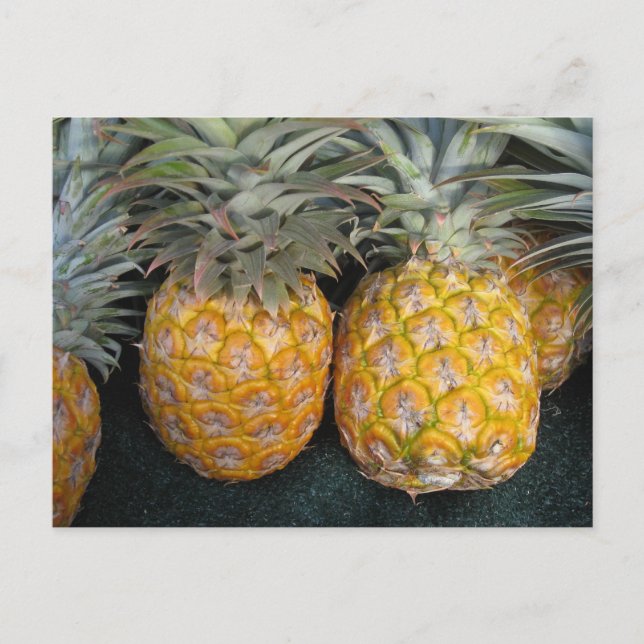 Postal Paraíso de piña (Anverso)