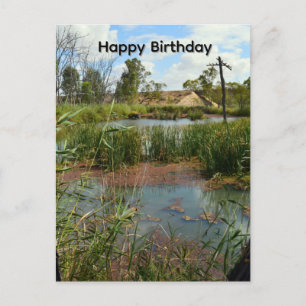 Postal Paraiso del pantano de ranas Riverland Australia,