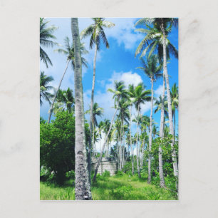 Postal Paraíso en el Pacífico