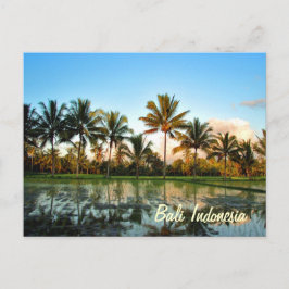 Postal Paraíso Foto Palmeras Tropicales Bali Indonesia
